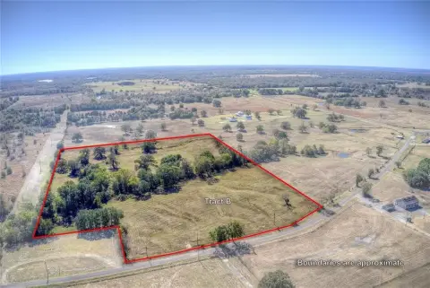 East Texas Land Opportunity
