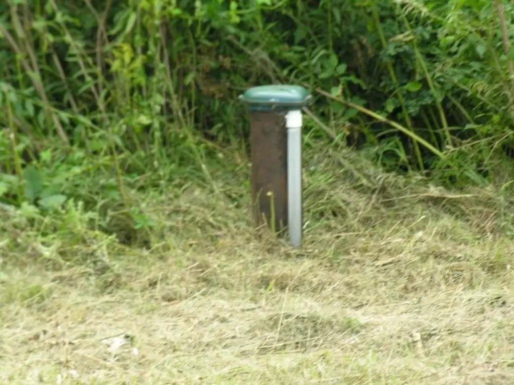 Picture 4
