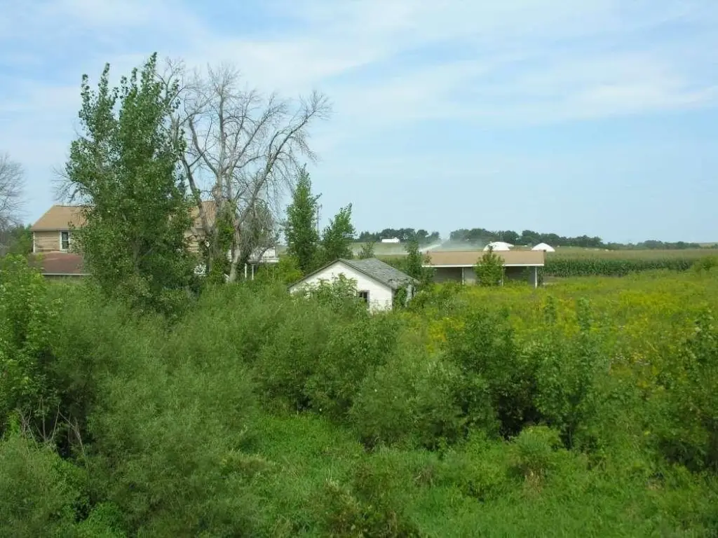 Picture 11