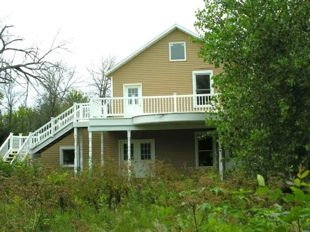 Picture 7