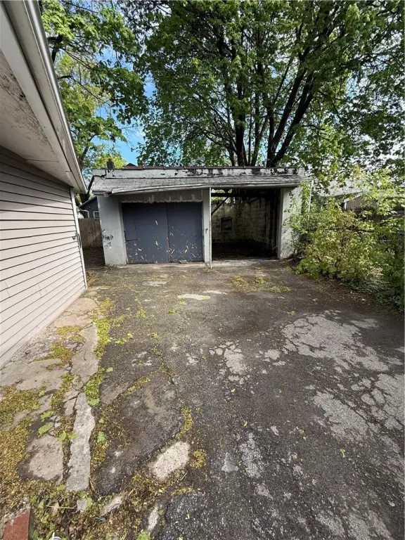 Picture 14