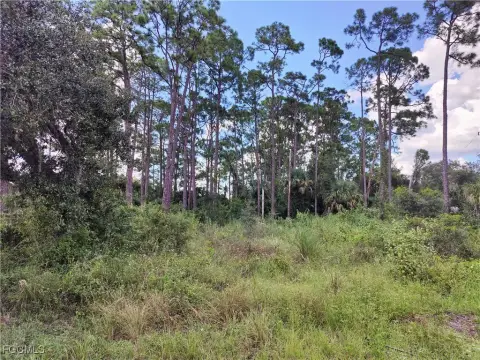 Lehigh Acres Buildable Lot