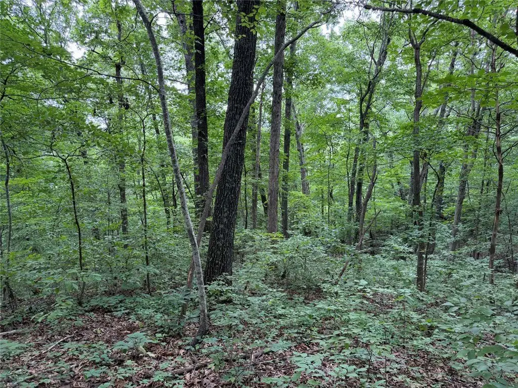 Picture 25