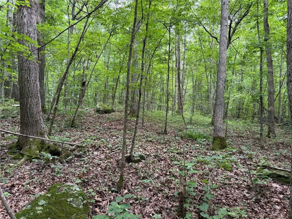 Picture 15