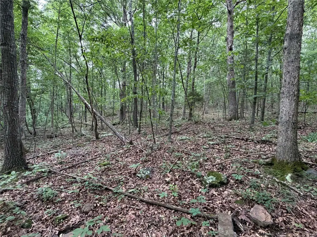 Picture 31