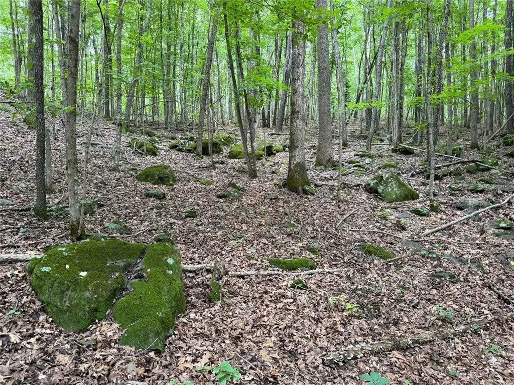 Picture 8