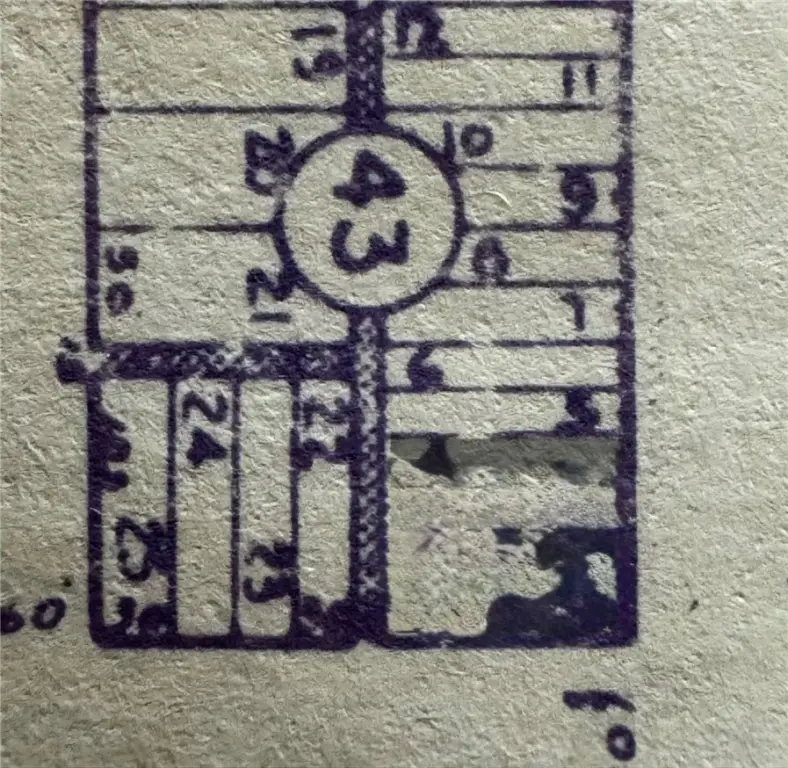 Picture 24