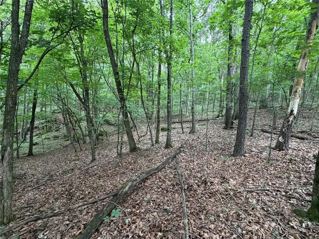 Picture 47