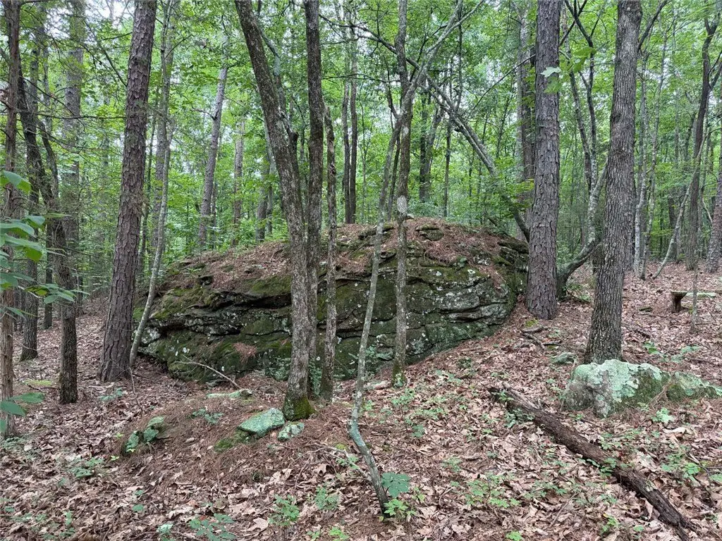 Picture 22