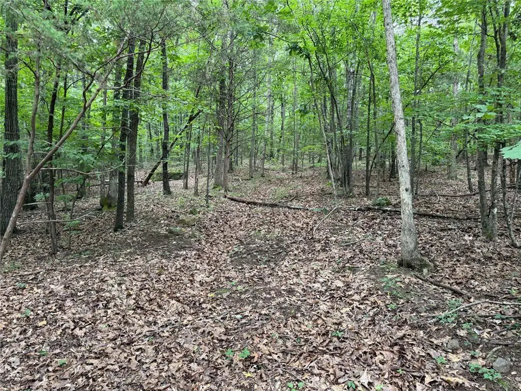 Picture 30