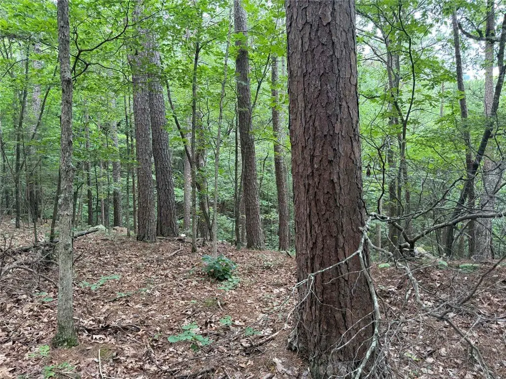 Picture 23