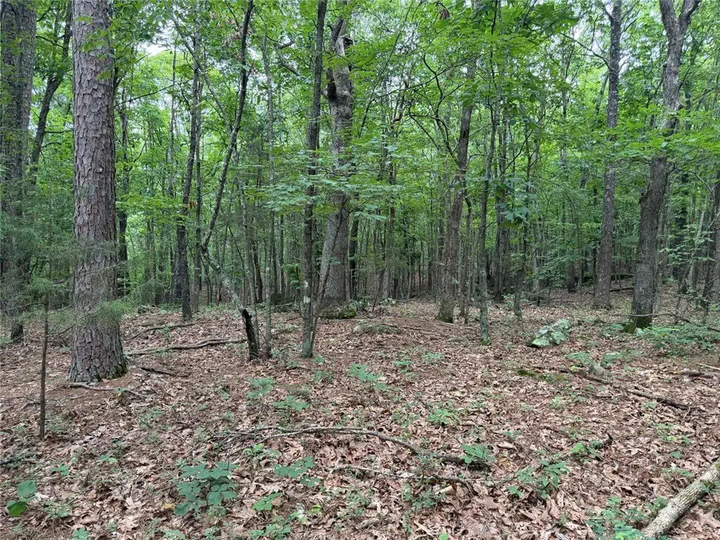 Picture 24