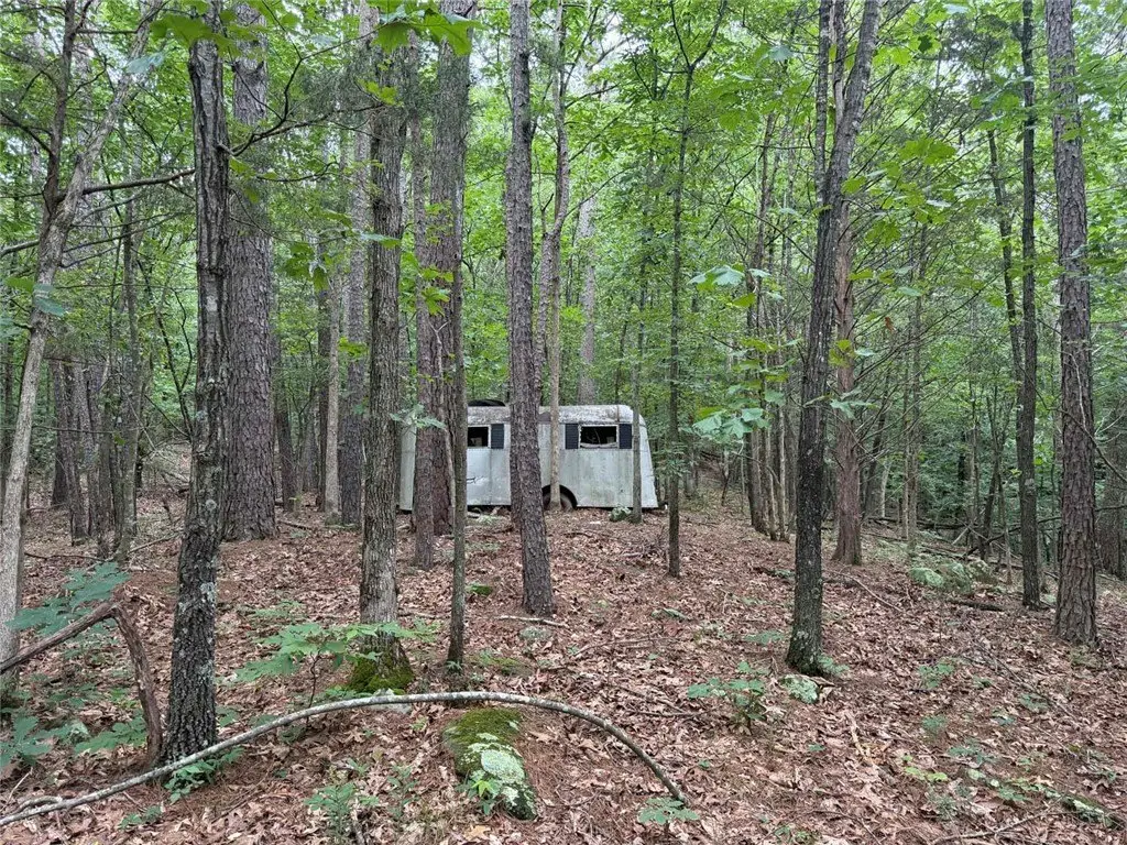 Picture 25