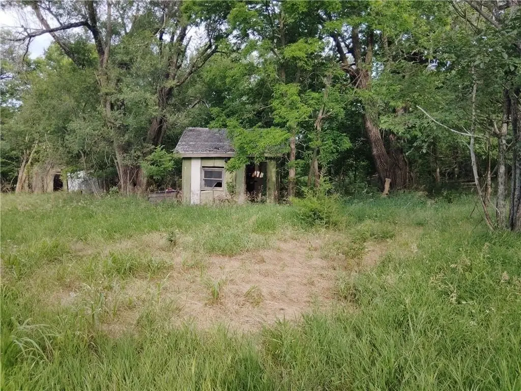 Picture 14