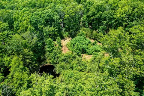 Pikeville, TN Land with Pond