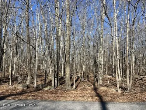 Wooded Lot in Quiet Location