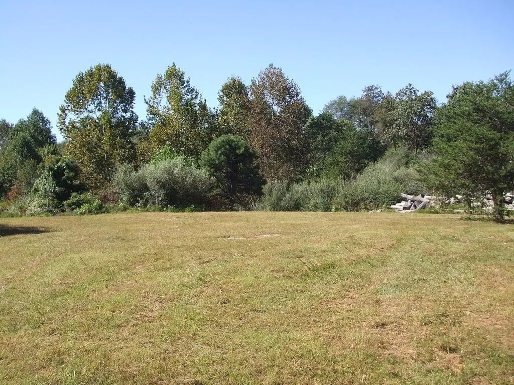 Picture 28
