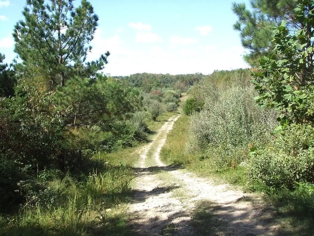 Picture 43