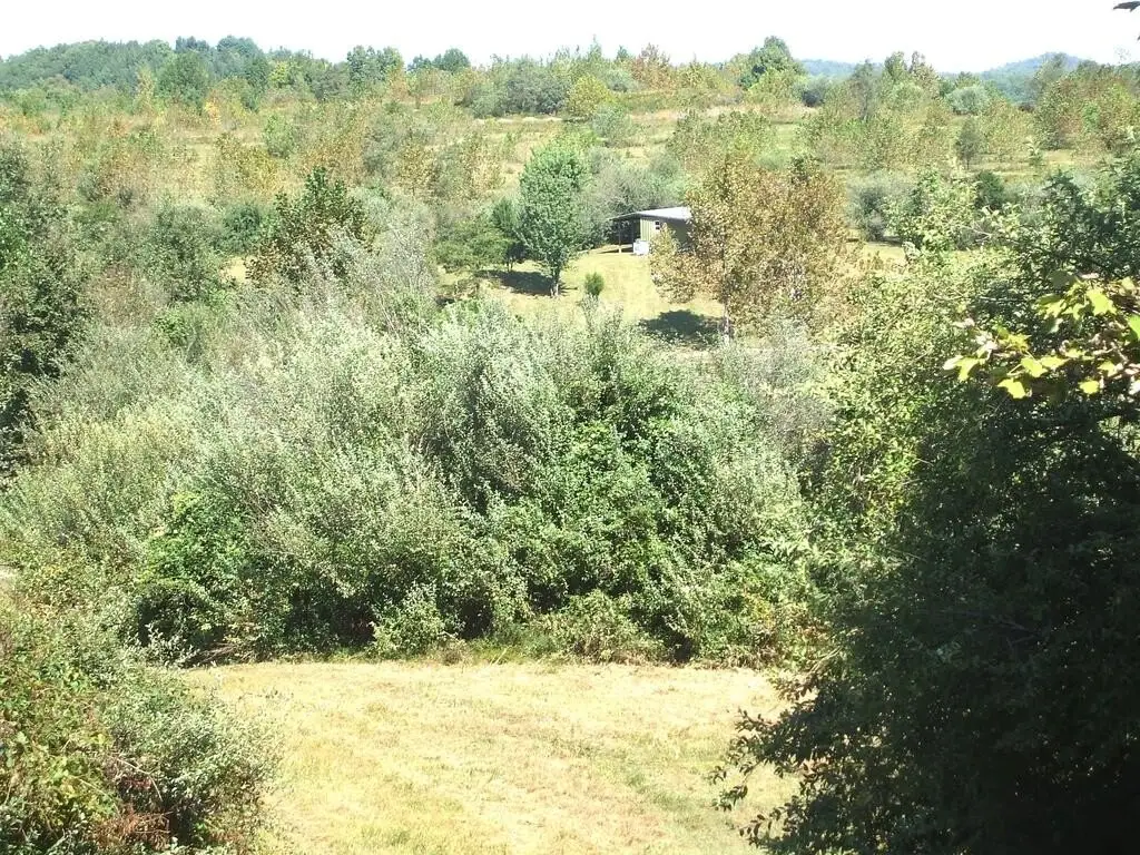 Picture 27
