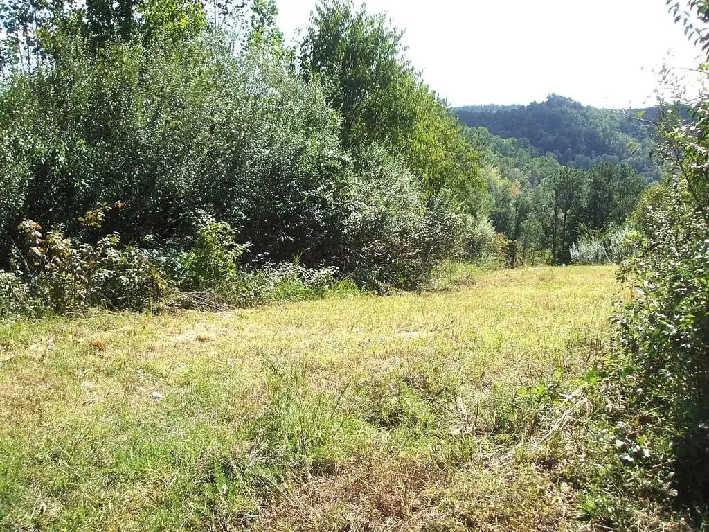 Picture 46