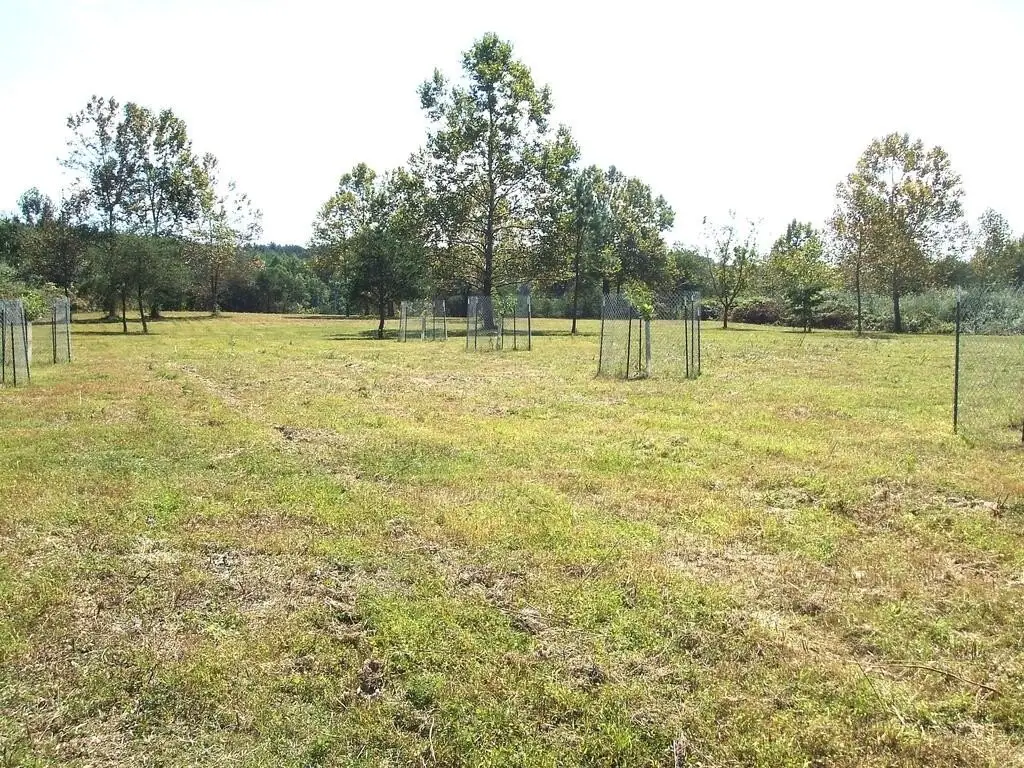 Picture 18