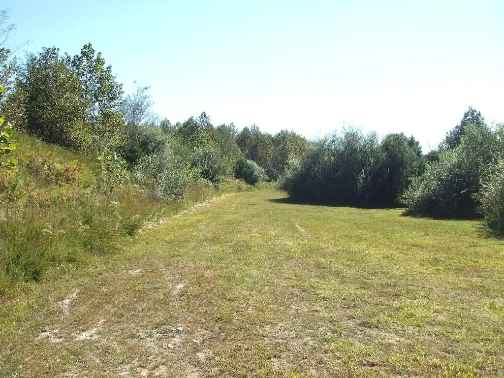 Picture 29