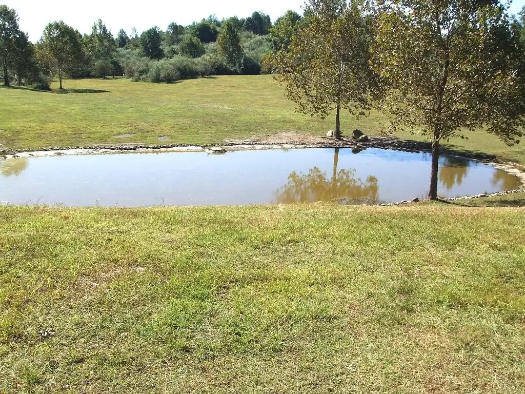 Picture 14