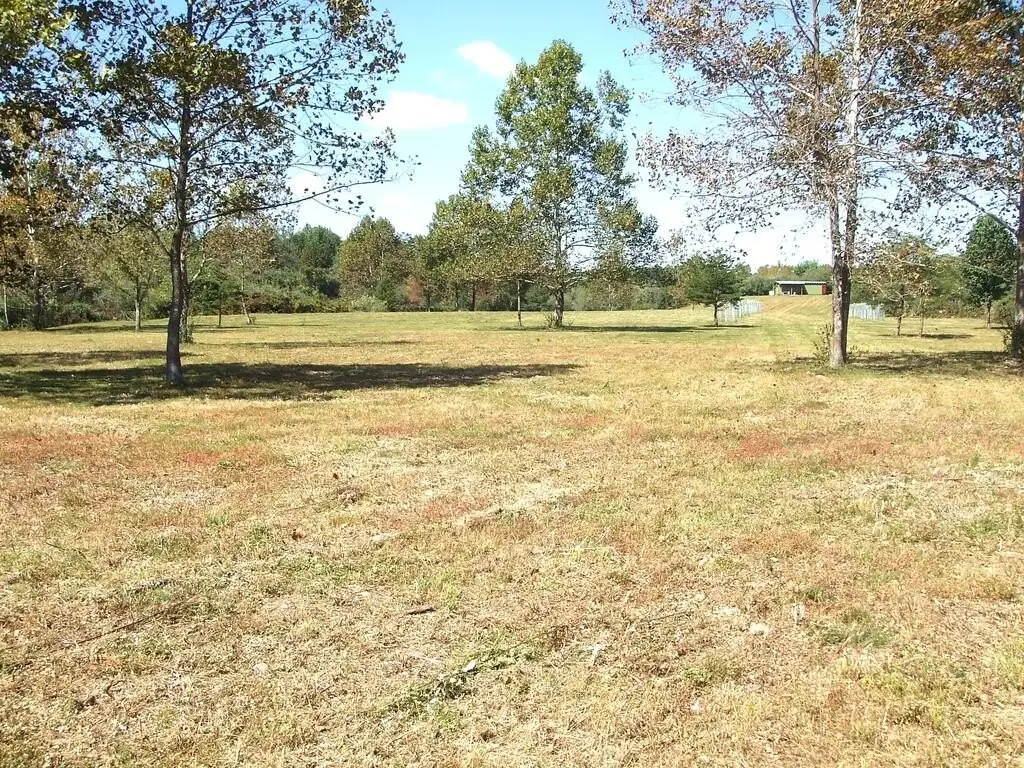Picture 16