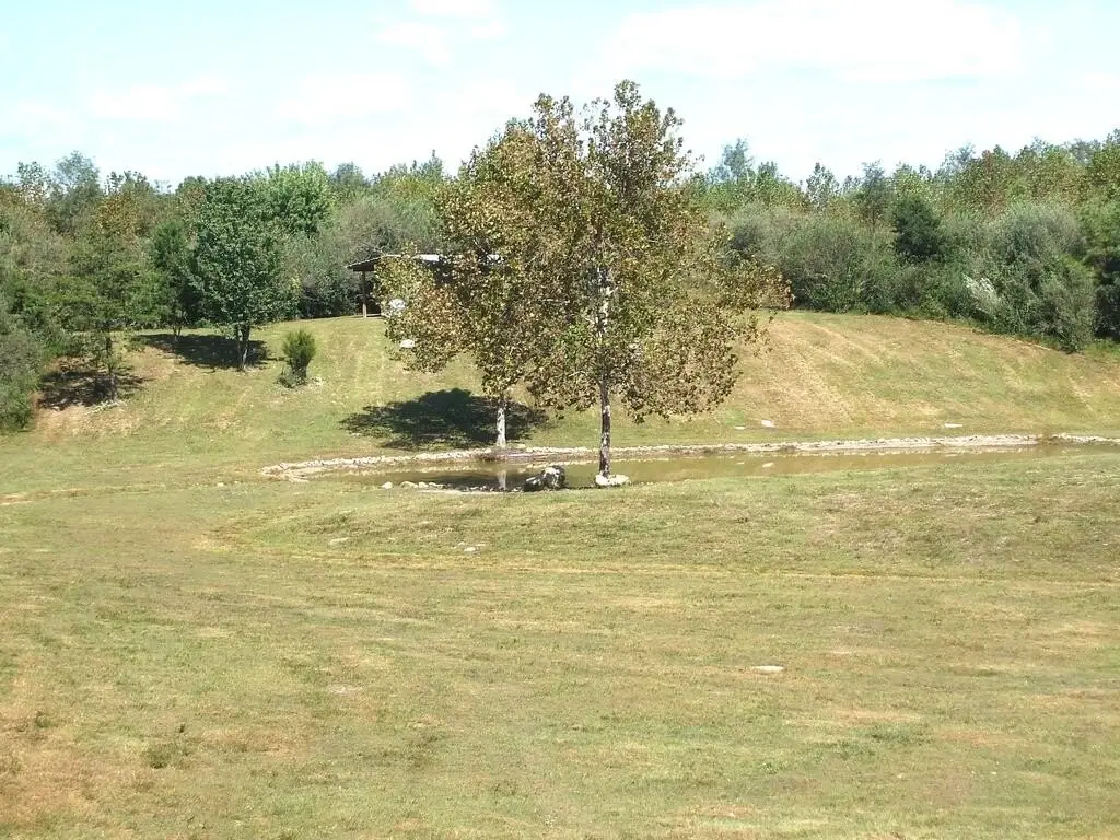 Picture 20