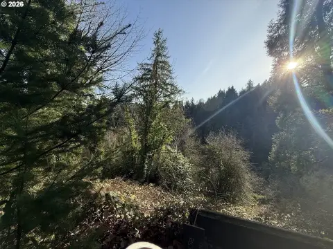 Buildable Lot on SW Broadway