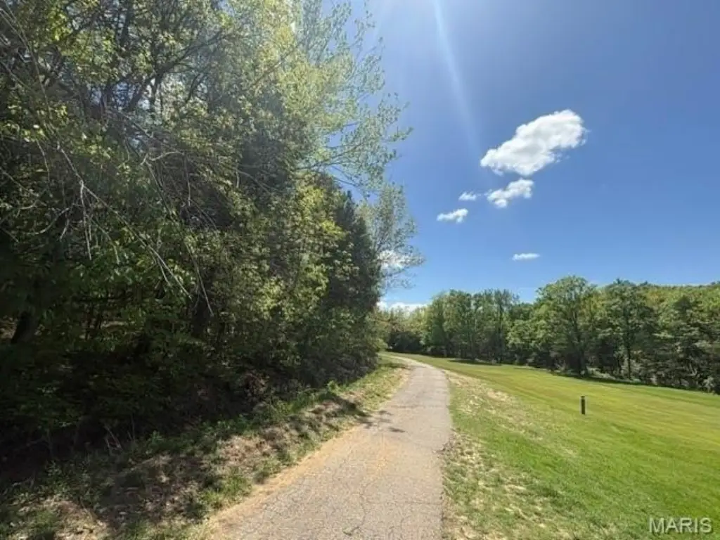 Picture 3