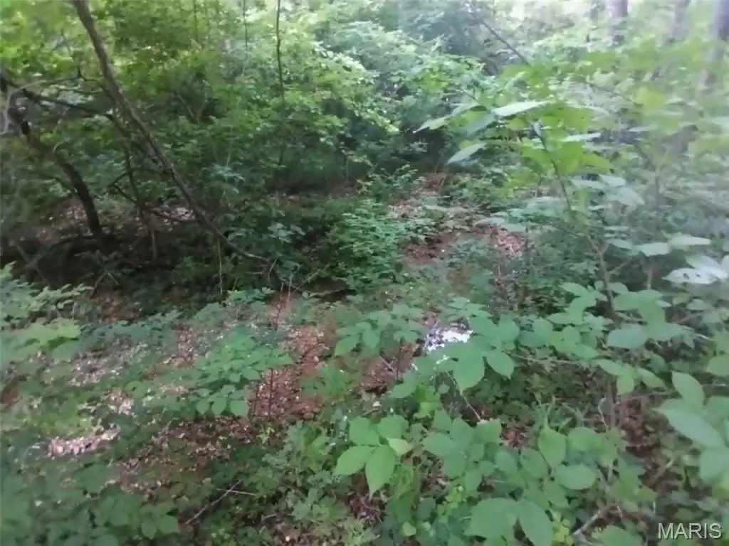 Picture 11