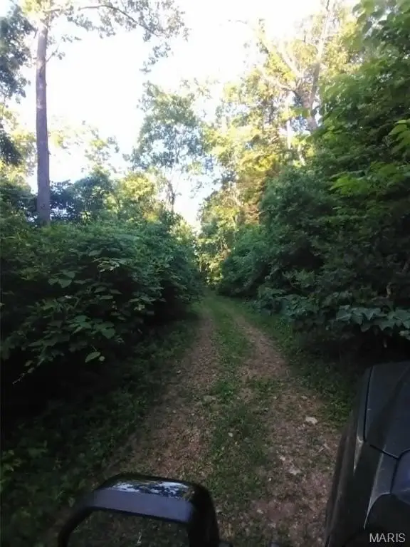 Picture 12