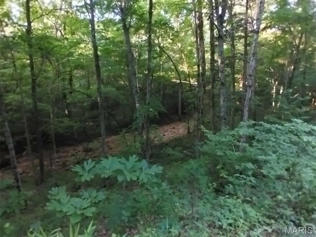 Picture 16