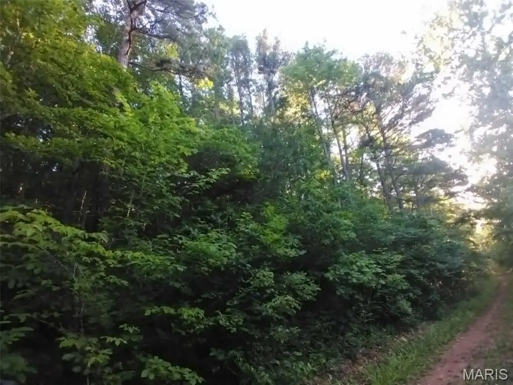 Picture 17