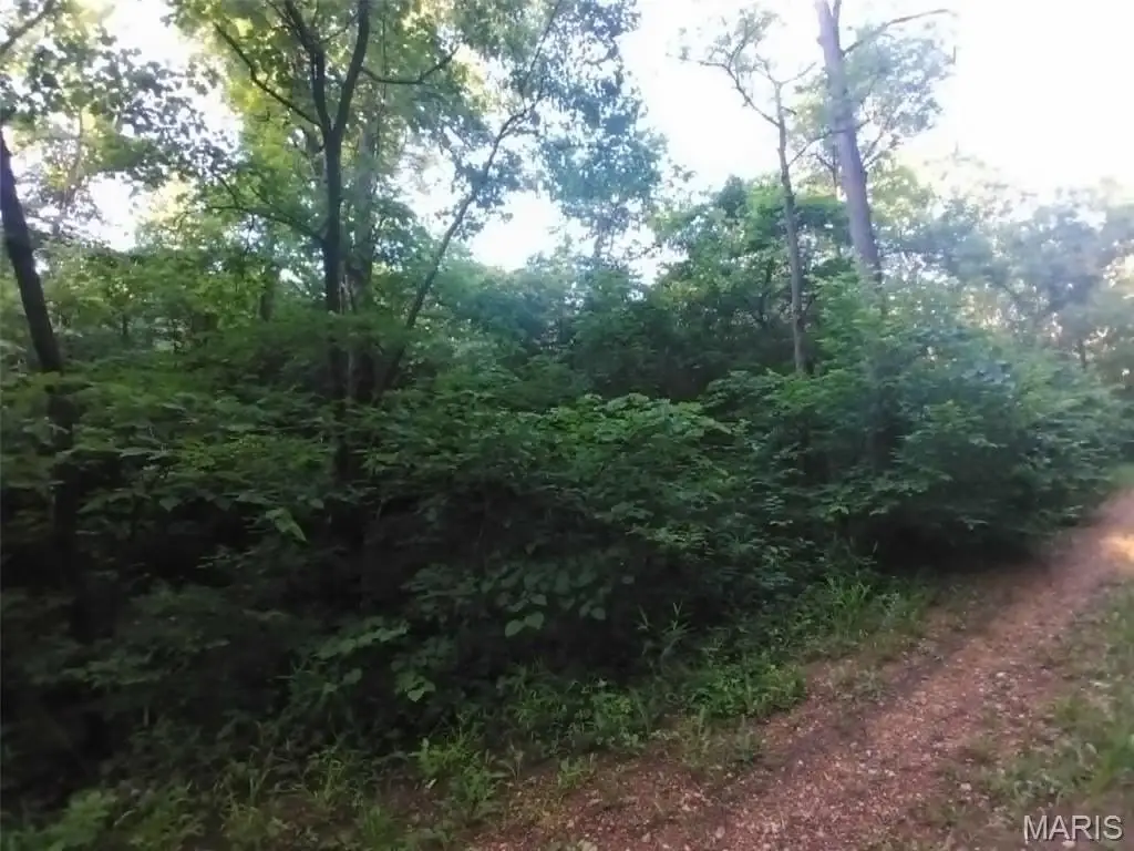 Picture 9