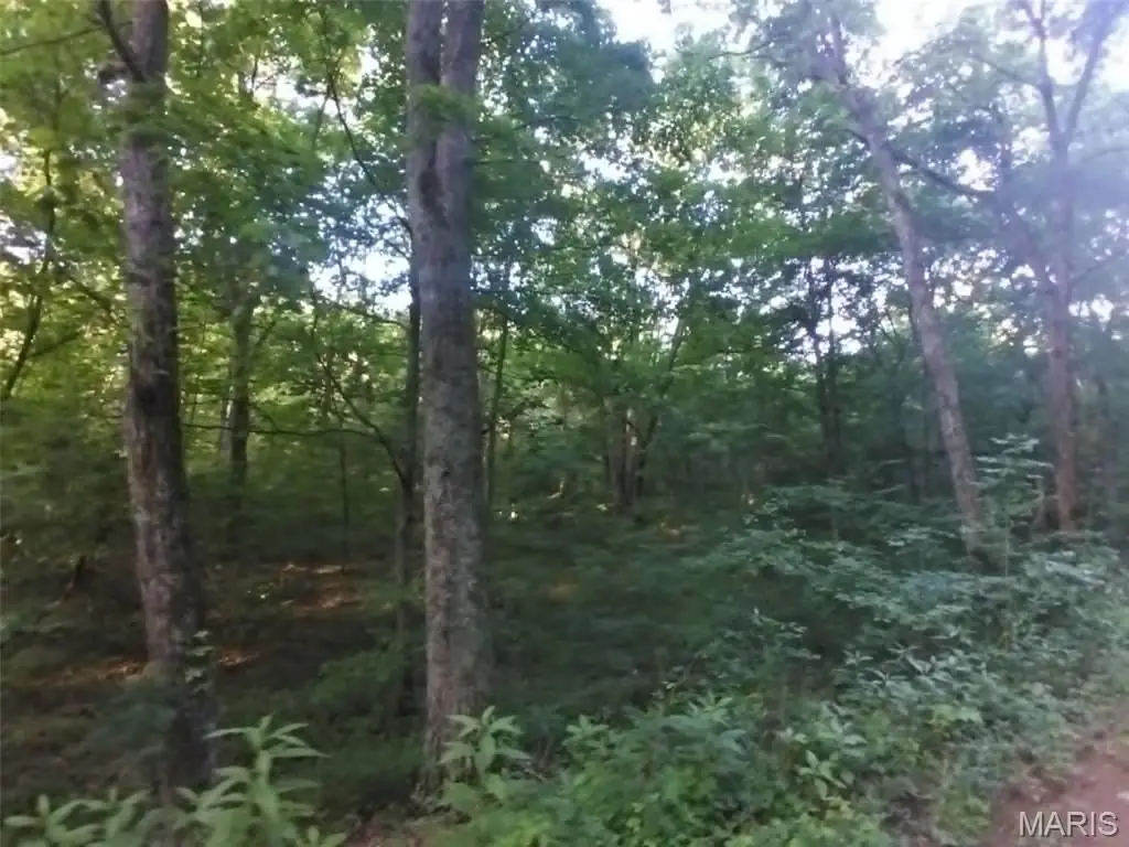 Picture 19
