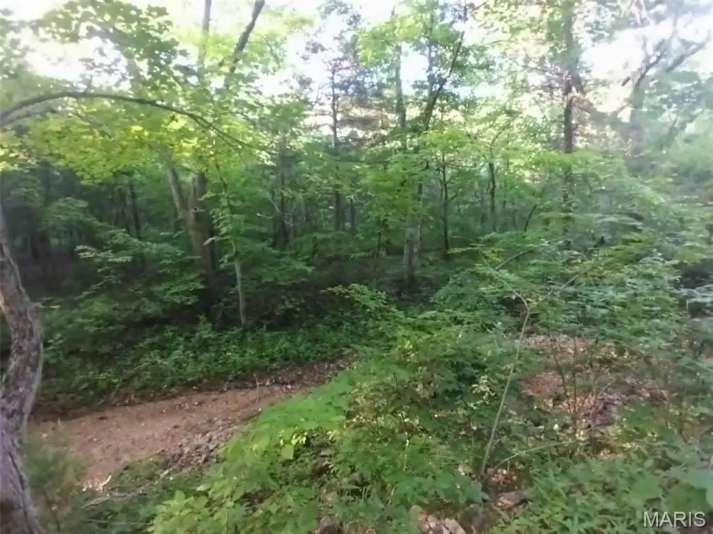 Picture 8