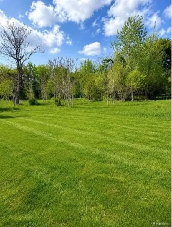 Picture 3
