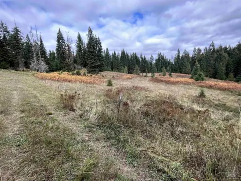 10 Acres of Idaho Land