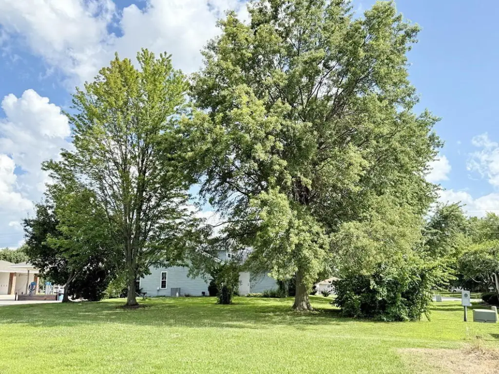Picture 38