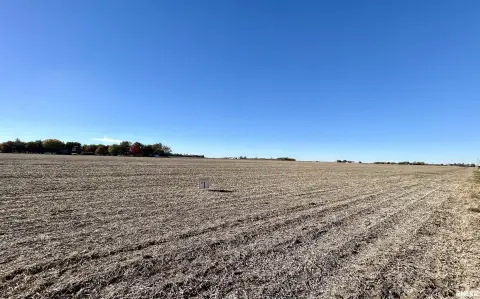 Prime Farmland Auction - Auburn, IL