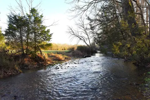 Pasture and Timber Land