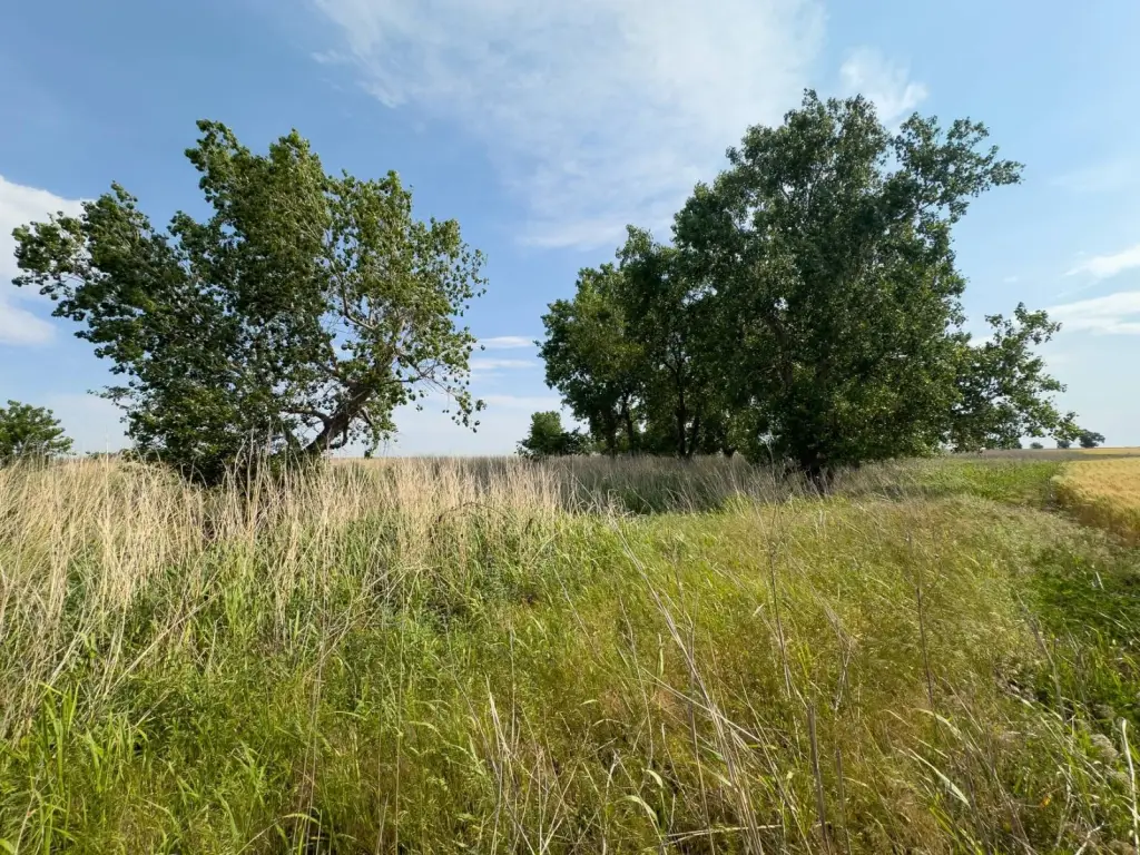 Picture 26