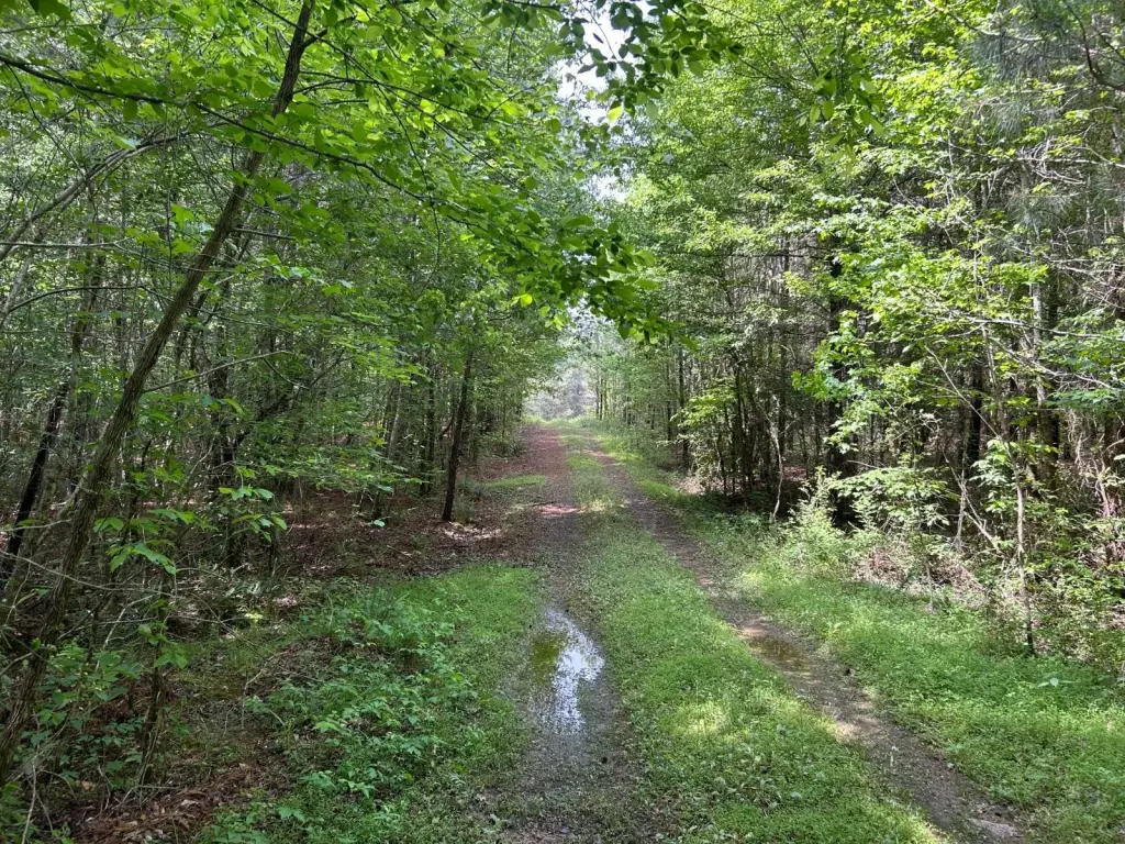 Picture 28
