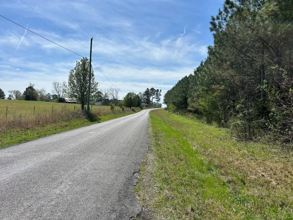 Picture 17