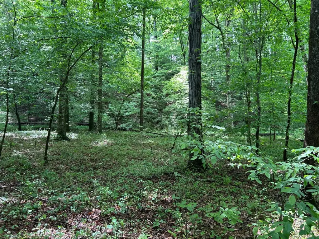 Picture 42