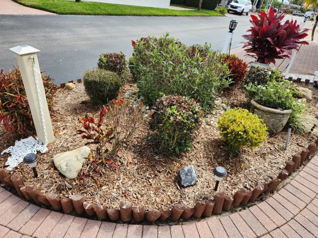 Picture 17