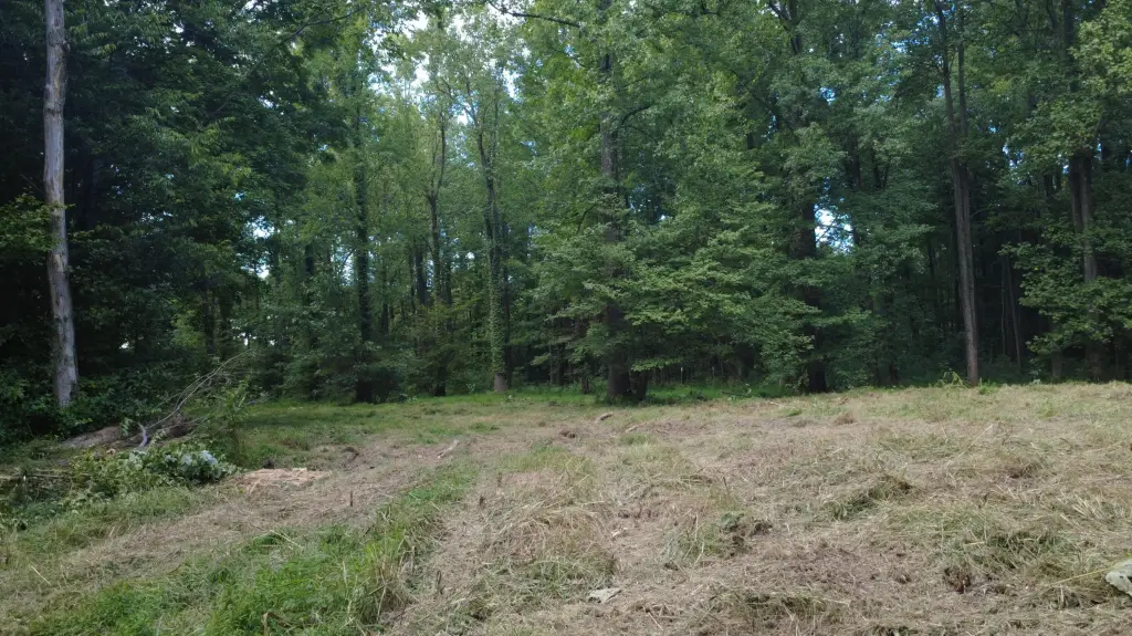 Picture 18