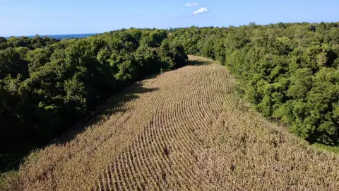Hunting Land With Timber